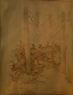 DÉCRUE (After the Flood)