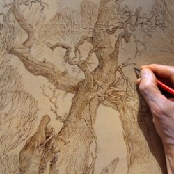 DÉCRUE 2 (After the Flood)