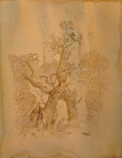 DÉCRUE 2 (After the Flood)