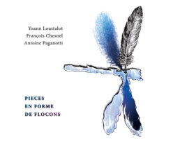 "Pièces en forme de flocons" — Yoann Loustalot