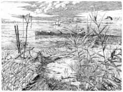 FLUVIATILE #1