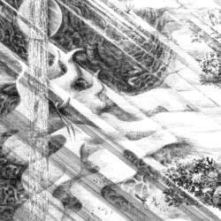 ORGANICA (Detail)