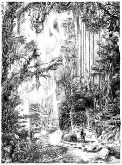 Jungle Organs